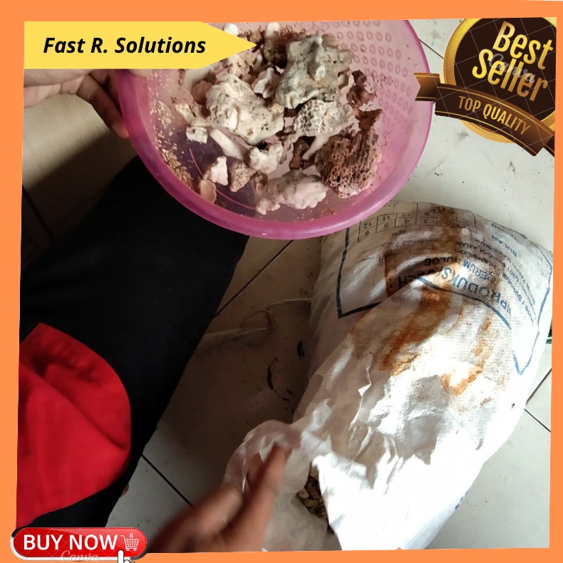 Karang jahe kiloan / deadrock / batu filter untuk sump