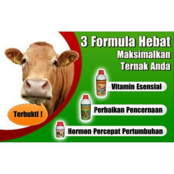 

PAKET PENGGEMUKAN TERNAK Sapi Potong / Kambing / Domba