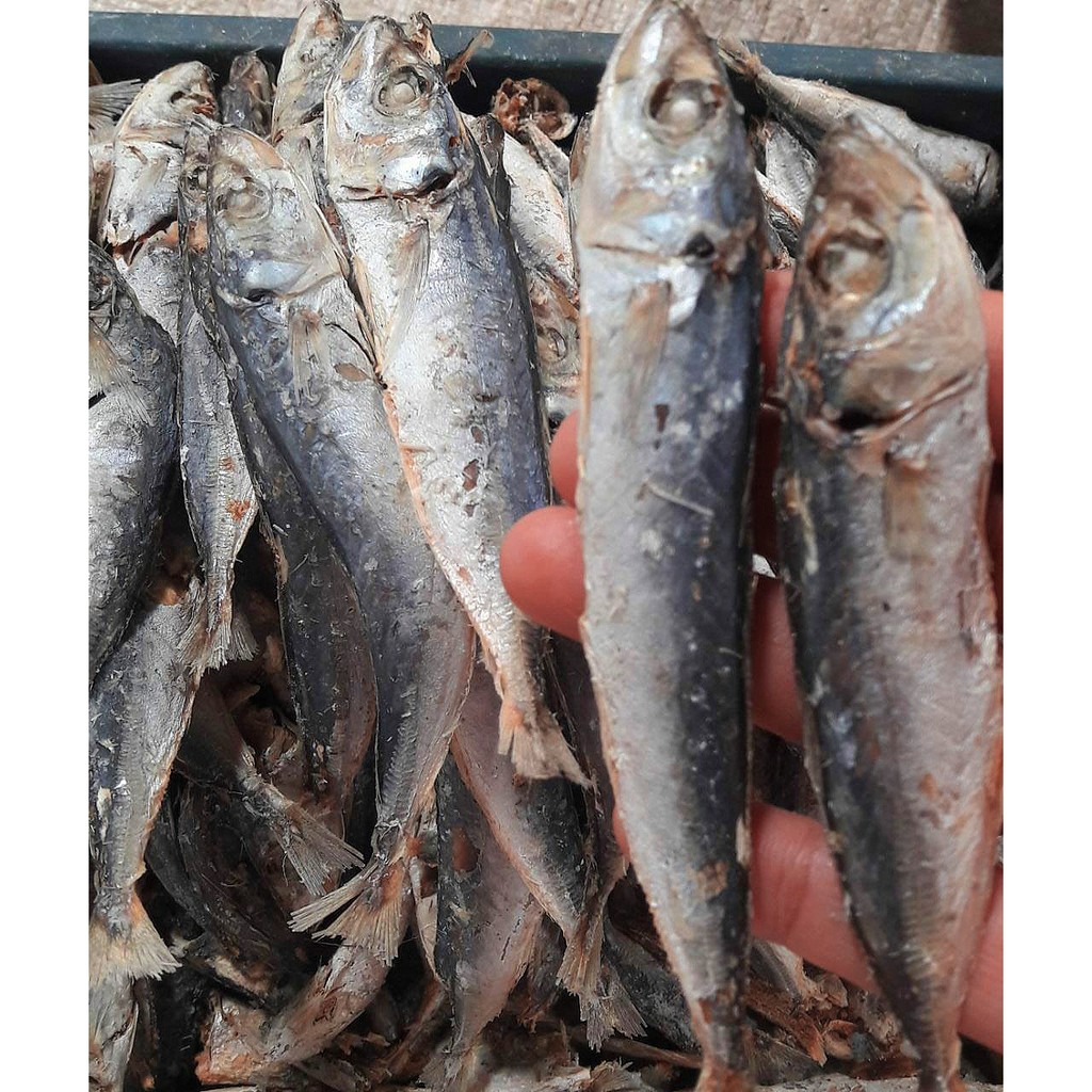 

Layang Rebus / Ikan Cuek