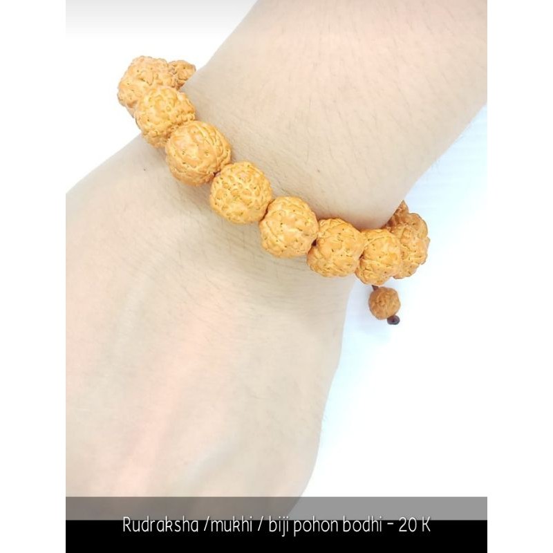 Gelang Rudraksha/Mukhi /Genitri/Jenitri/Mala/biji pohon bodhi