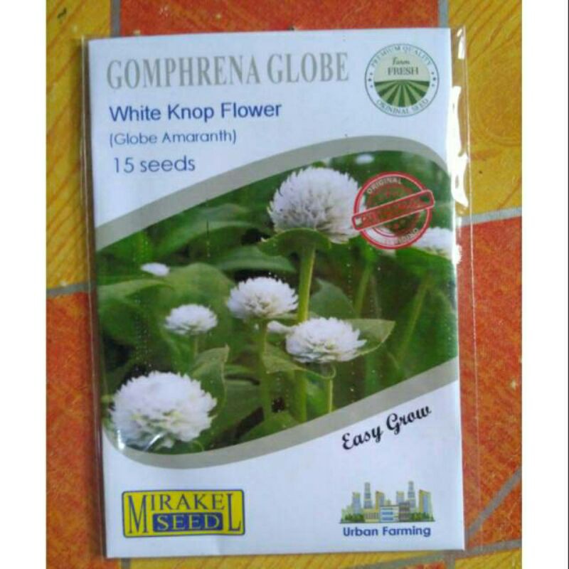 

GOMPHRENA GLOBE(1 PACKS ISI 15 BIJI)