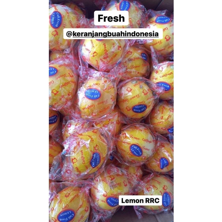 

Buah Segar Lemon China, Fresh Fruit Lemon RRC