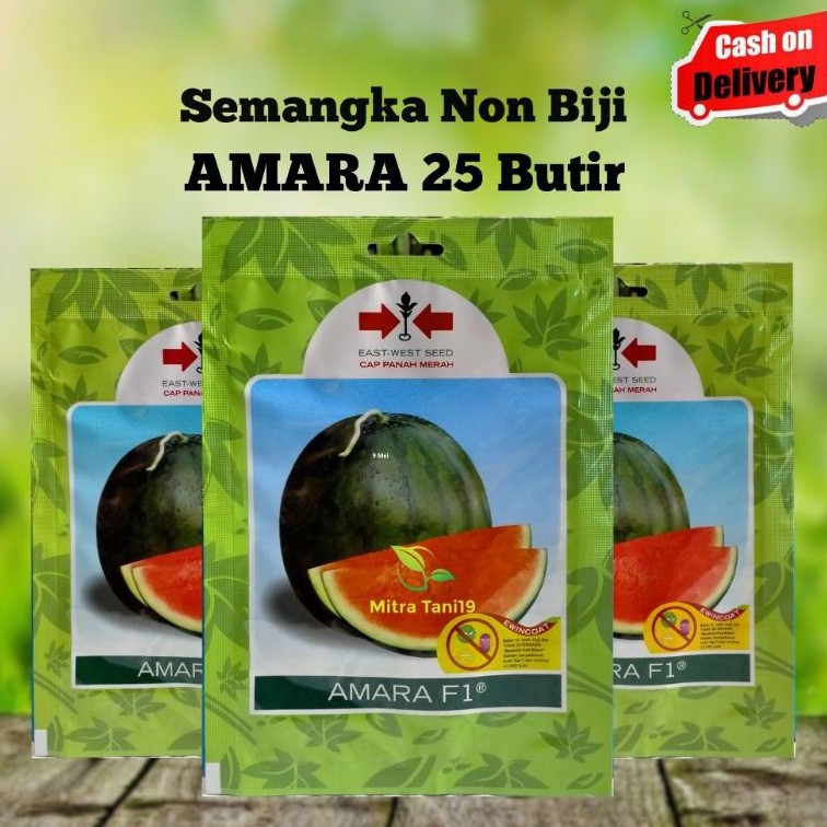 CAP PANAH MERAH BIBIT BENIH BUAH BUAHAN SEMANGKA MERAH NON BIJI AMARA 25 Butir SP