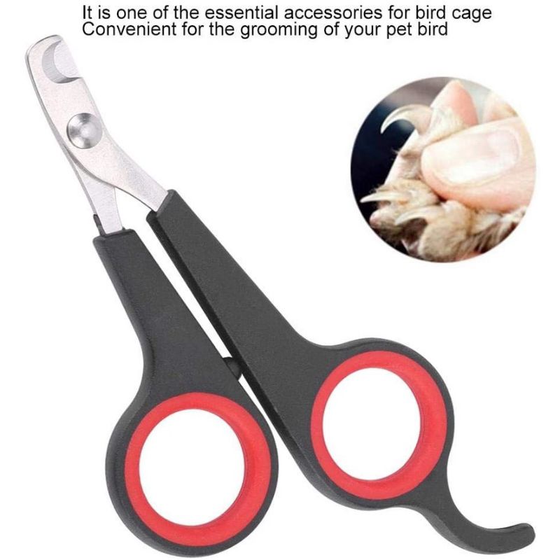 GUNTING KUKU HEWAN || KUCING - ANJING - MUSANG - KELINCI - BURUNG