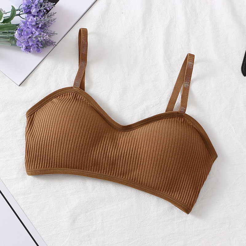 Chipchip Pakaian Dalam Wanita Bra Tanpa Kawat Bh Busa Import Seamless Gaya Korea - 3003-brown