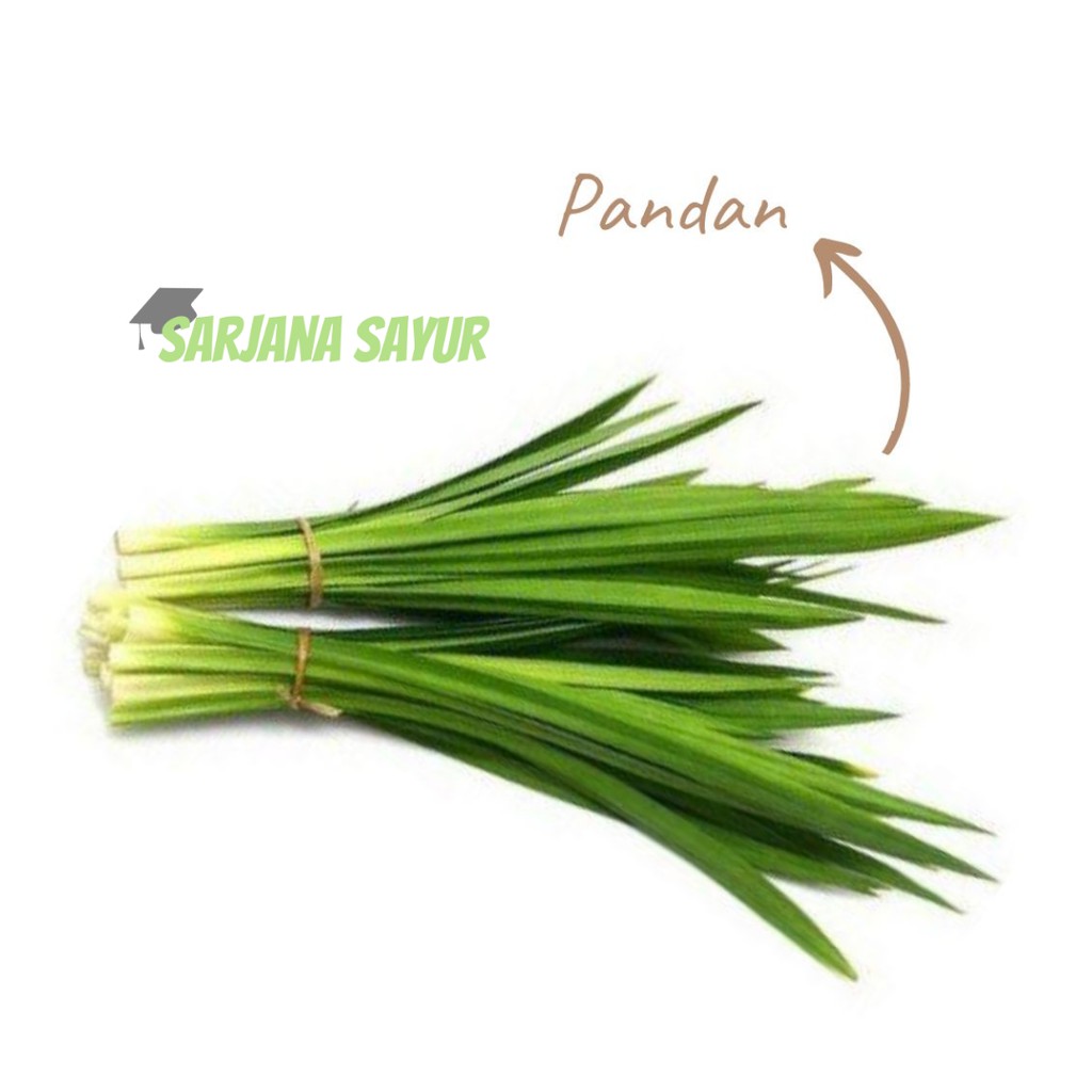 

Pandan per pack / Sarjana Sayur