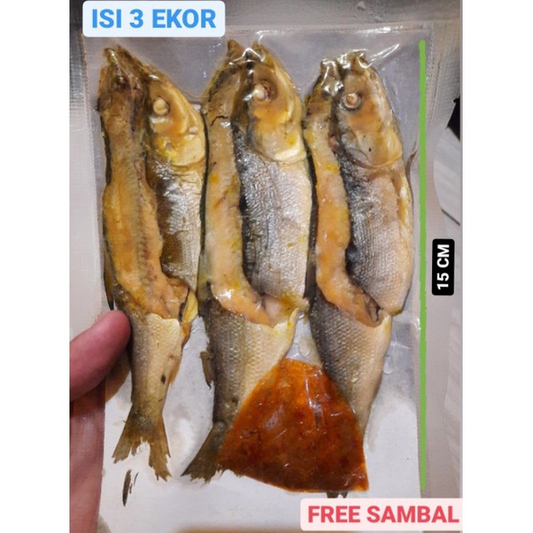 

BANDENG PRESTO ISI 3 EKOR FREE SAMBAL