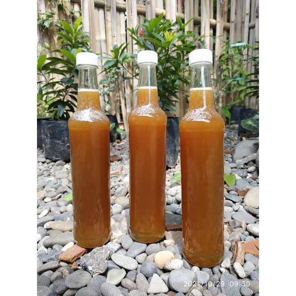 

Madu asli tawon kelulut / klanceng / kelanceng / lanceng atau trigona murni 100%