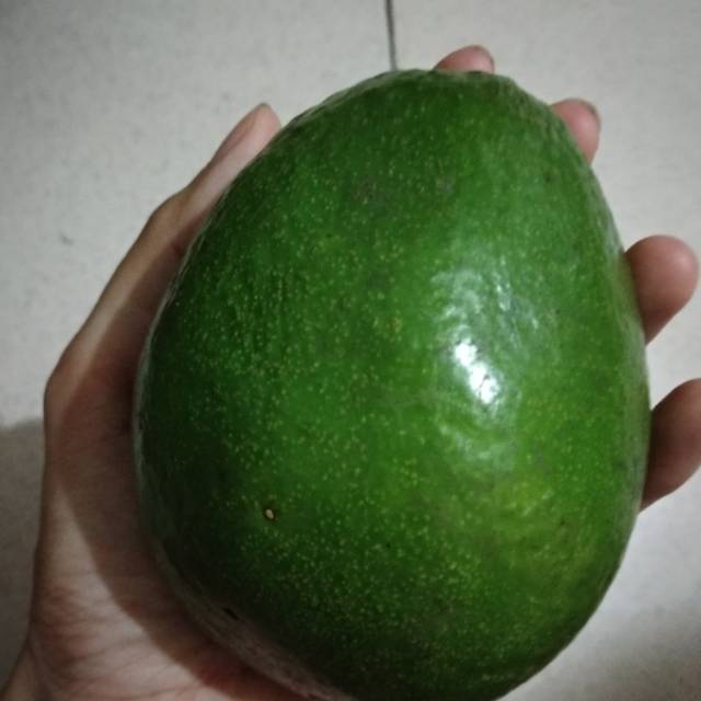 

Alpukat mentega
