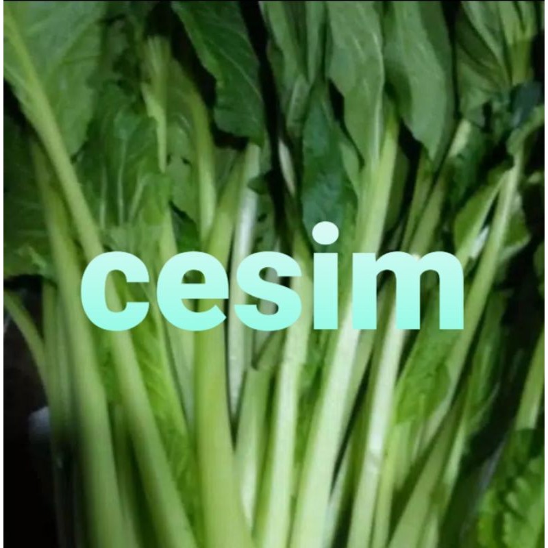 

CESIM /500grm