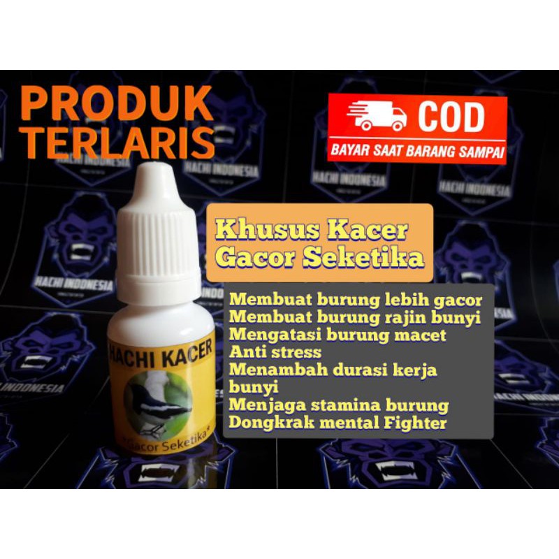 [COD] Vitamin Kacer Gacor Ngobra Anti mbagong