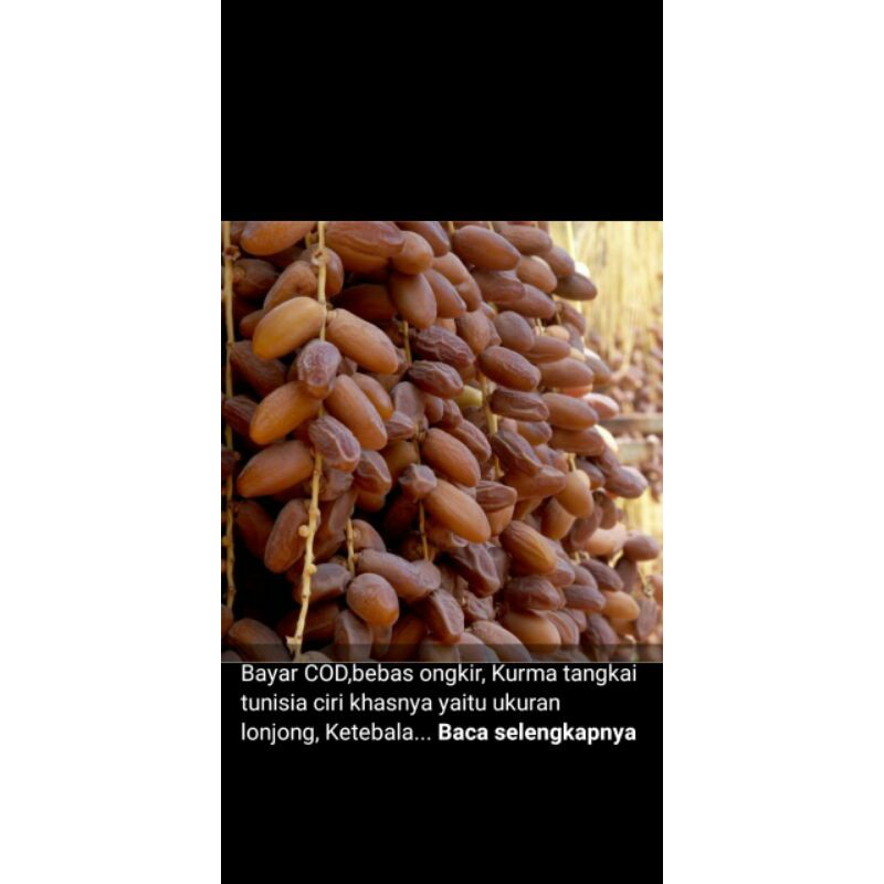 

Kurma Tunisia 1kg