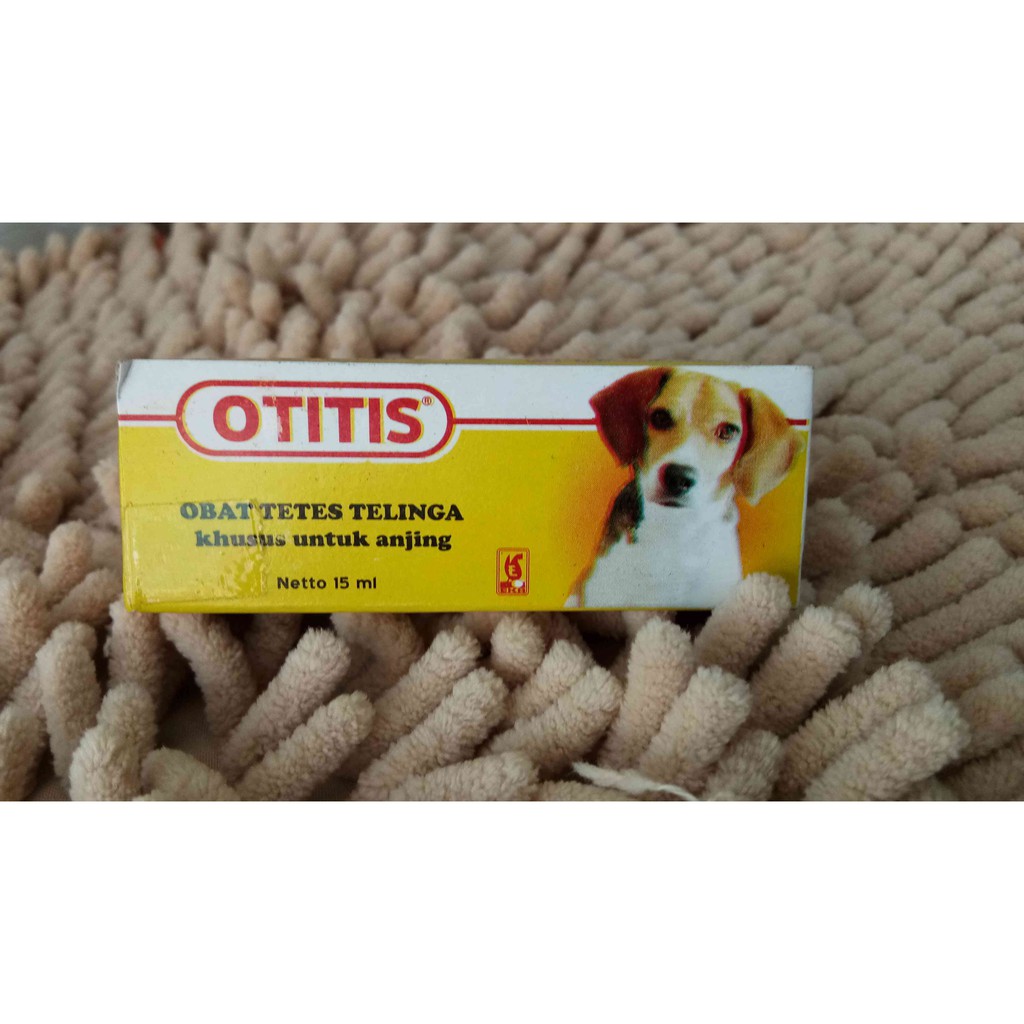 Otitis - Obat Tetes Telinga Anjing Gatal Gatal Bau Busuk ...