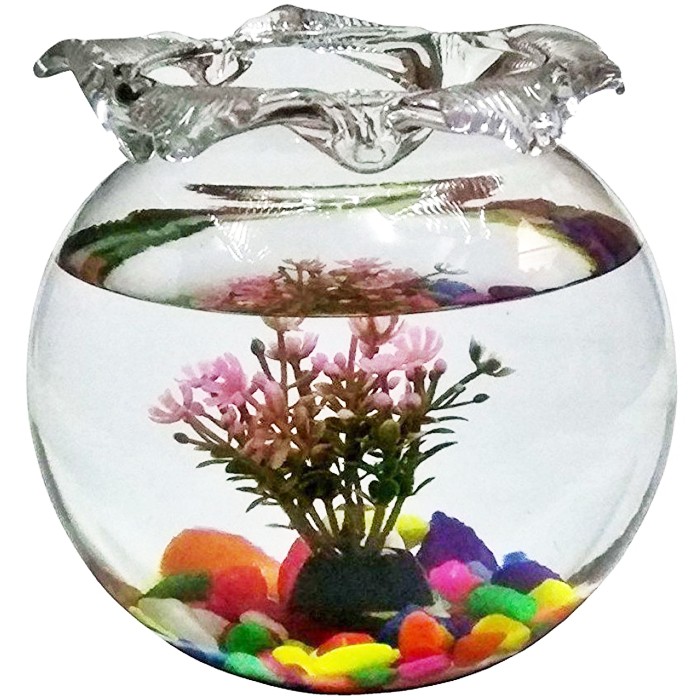 Toples Kaca Ikan Aquarium Bulat 4 Liter SHELLA Fish Bowl 4L Akuarium Undian