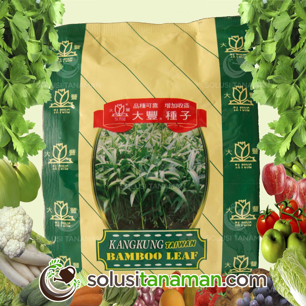 Benih Kangkung  Bambu 500 gr Biji Benih Sayuran Bibit 