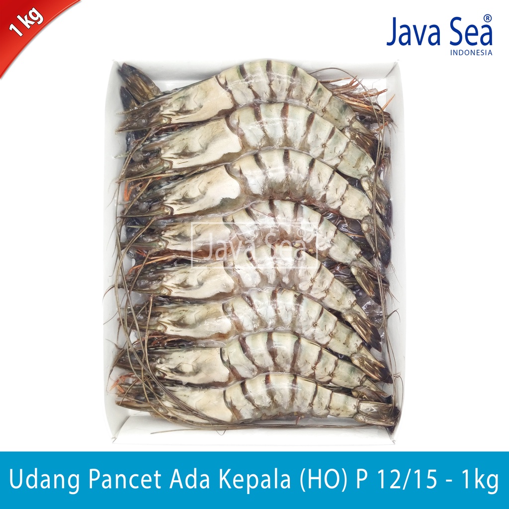 

Udang Pancet Utuh Ada Kepala HO P 12/15 pack 1kg Java Sea