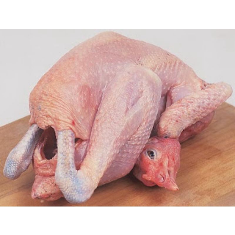 

Ayam Sotoan 500gr(Bakulsayuronline)