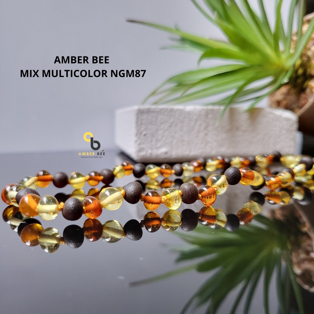 Kalung Gelang Amber ORI Baltic Anak Premium Glossy Multicolor NGM87