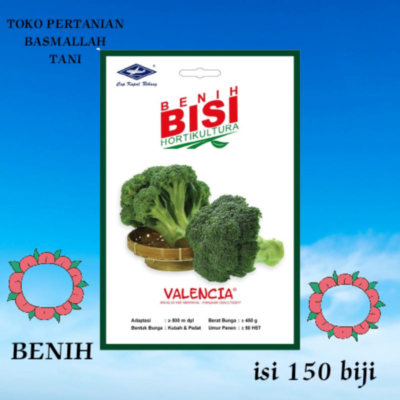 BENIH BISI VALENCIA ISI 150 BIJI