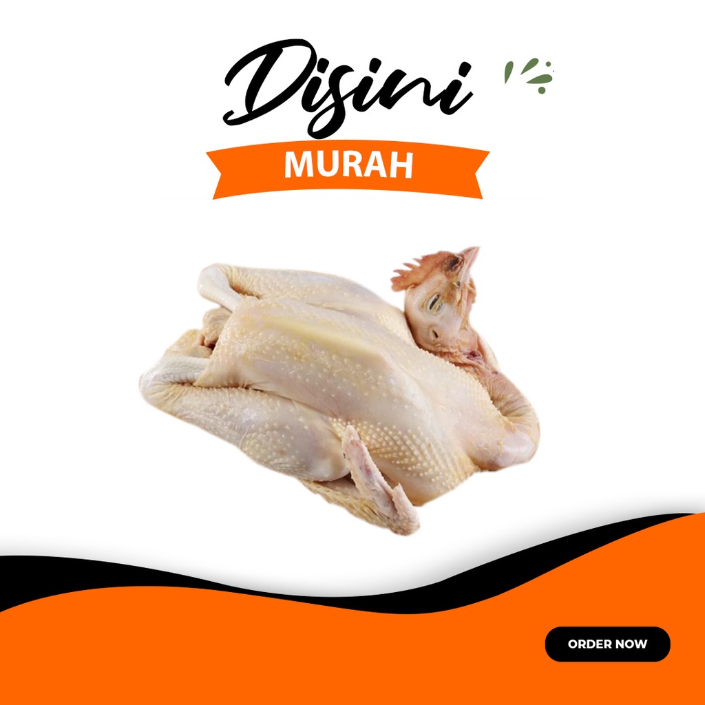 

ayam pejantan utuh per ekor berat ± 1200gr