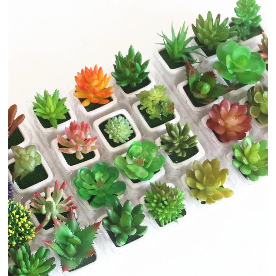 𝘈𝘉𝘎✰ Tanaman Mini Imitasi Dengan Pot Succulent untuk Dekorasi Rumah 1059