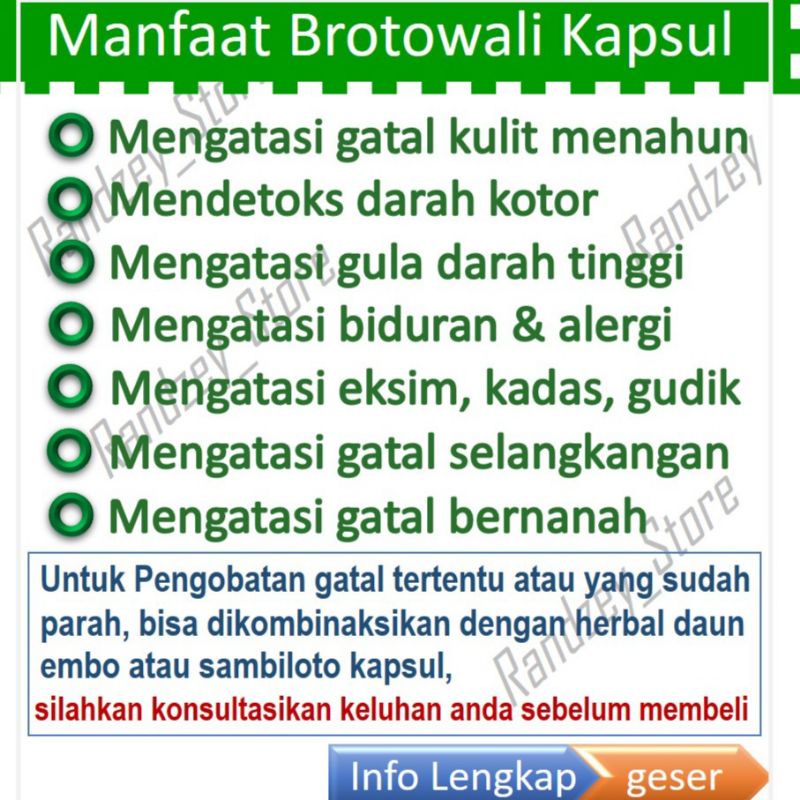 Brotowali obat gatal kulit eksim alergi biduran herbal daun jamu suplemen kesehatan isi 50 kapsul-1