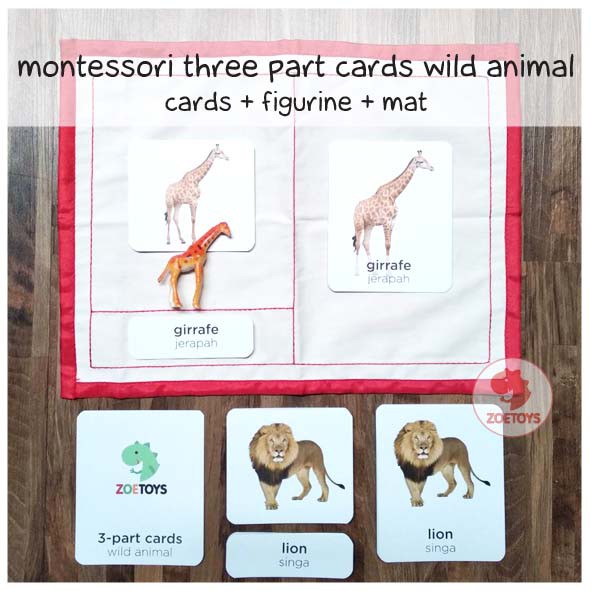 Zoetoys Montessori Three Part Cards Wild Ocean Animal Bug Dinosaur | LANGUAGE Nomenclature | Terminology Cards Kartu Terminologi | Flashcards |Mainan Edukasi Anak