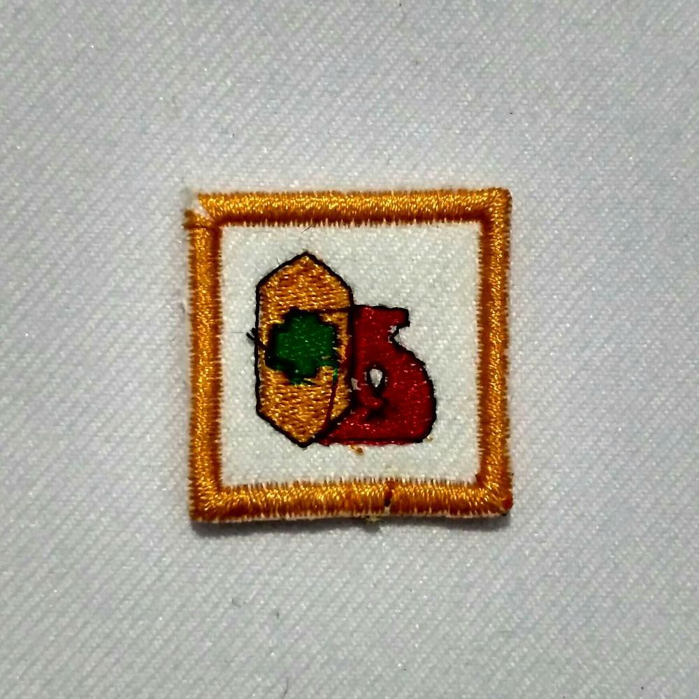 TKK Penegak Madya - Pengawasan Pestisida Saka Bakti Husada