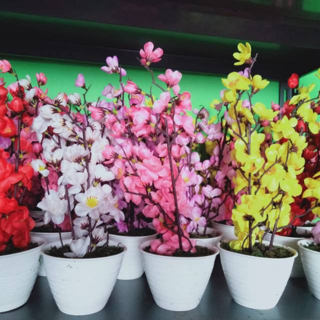 

BUNGA SAKURA
