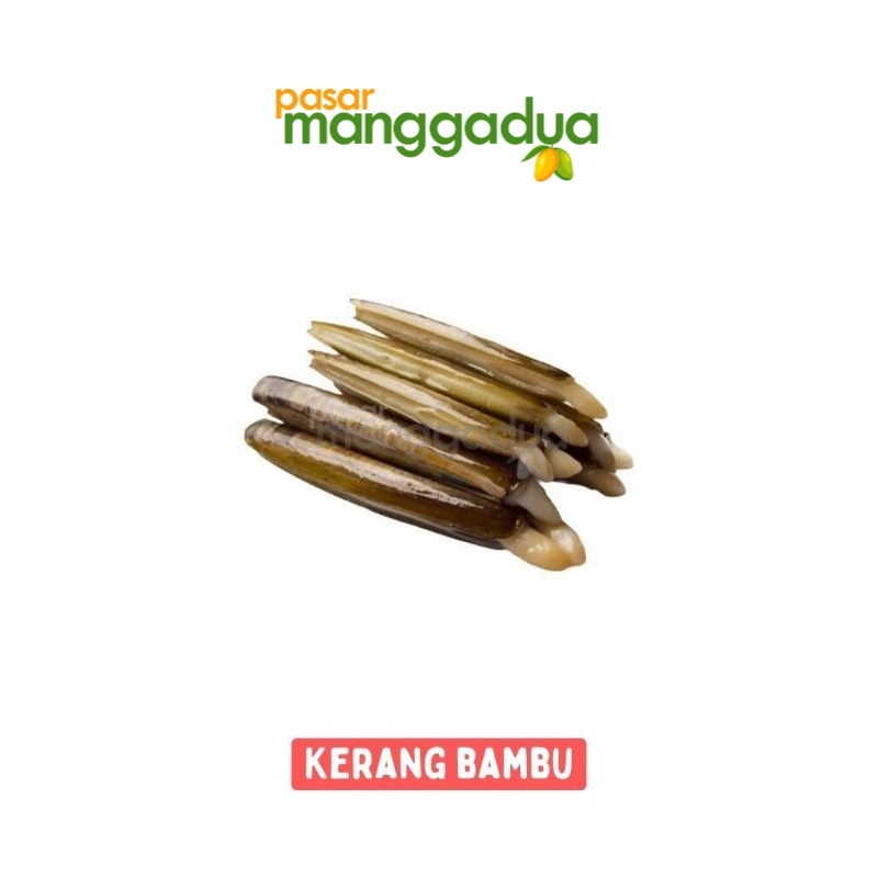 

FRESH !!! Kerang Bambu Per Kg / Ikan Segar