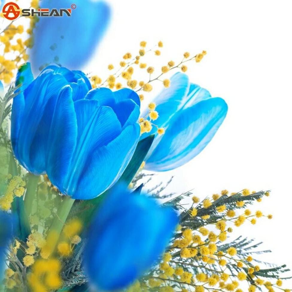 Biji Bunga Tulip Biru Rare Blue Tulip Shopee Indonesia