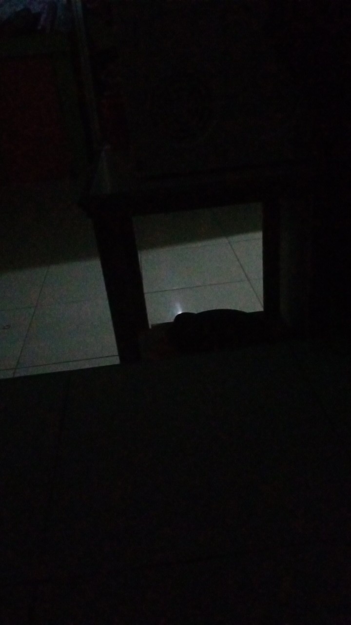 100pcs Peniti Bohlam/labu Silver Anti Nyangkut