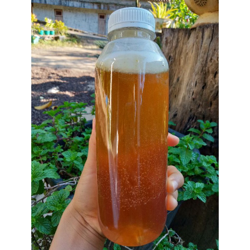

PROMO Madu Murni Lebah Melifera