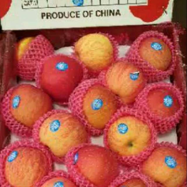 

Apel Fuji China Ganda Segar dan Sehat per 1 Kg Rp. 35.000