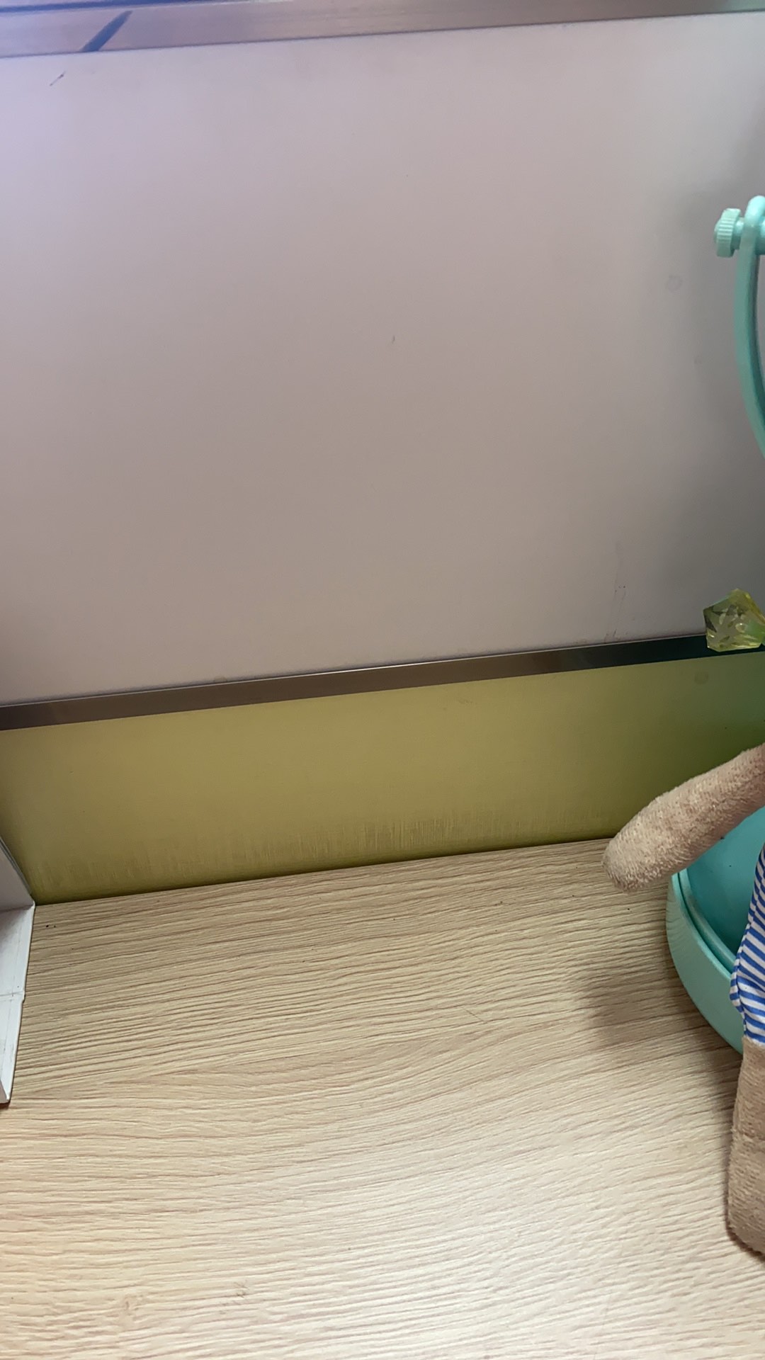 Tanaman Hias Philodendron Swiss(swiss Ceese Vine)