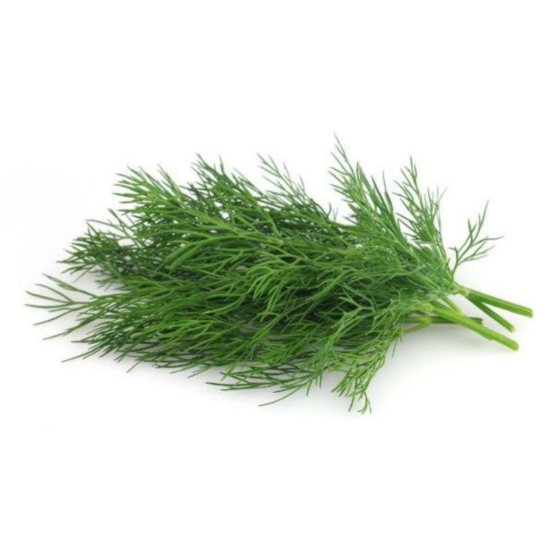 

[SAYUR EMAK] (ORGANIK) DAUN DILL PER PACK / PRODUK LANGKA