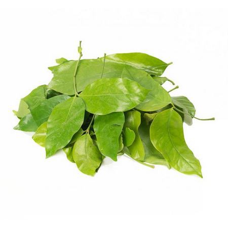 

Daun Melinjo 100gr