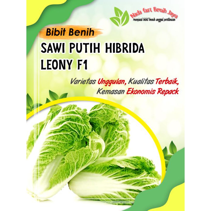 40biji benih bibit sawi putih - Bibit Sayuran Slobor - benih sawi slobor