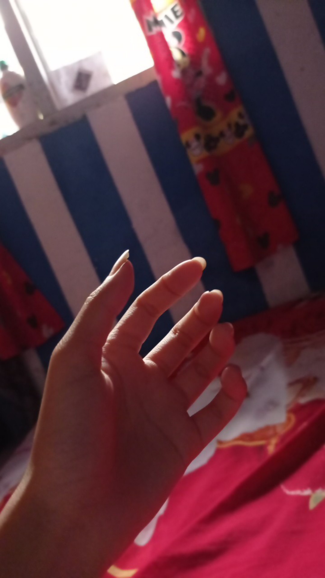 Lap Dapur Kotak - Besar Uk 55 X 55 Cm -murah Berguna