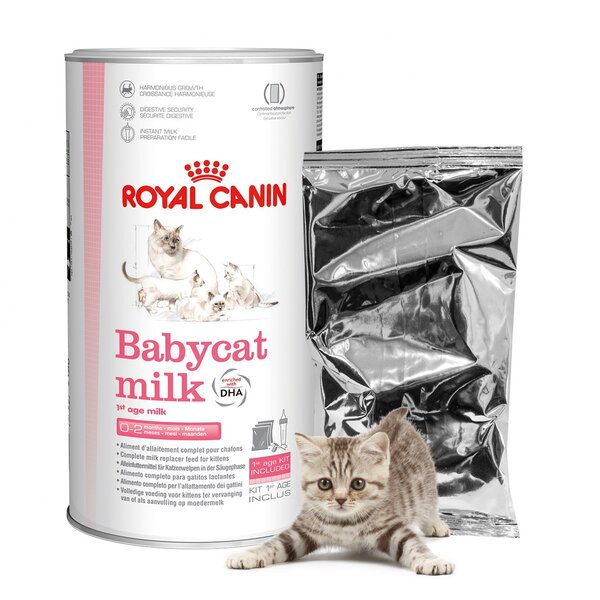 Royal Canin Baby Cat Milk 100gr Sachet Susu Anak Kucing Kitten Babycat