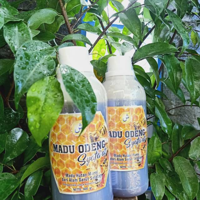 

Madu Odeng/ Madu Murni/ Madu Asli (Manis)