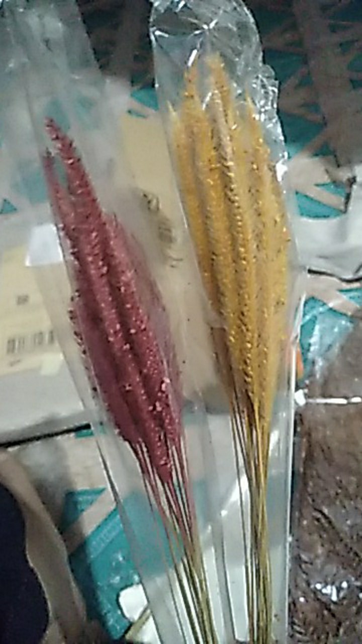 [15 Pcs] Oson-oson Kering | Dried Oson-oson