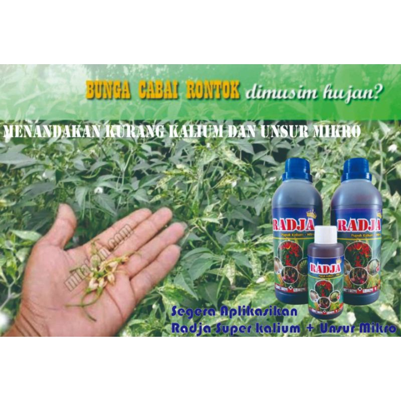 Jual Kemasan Ml Radja Pupuk Kalium Cair Murni Unsur Mikro