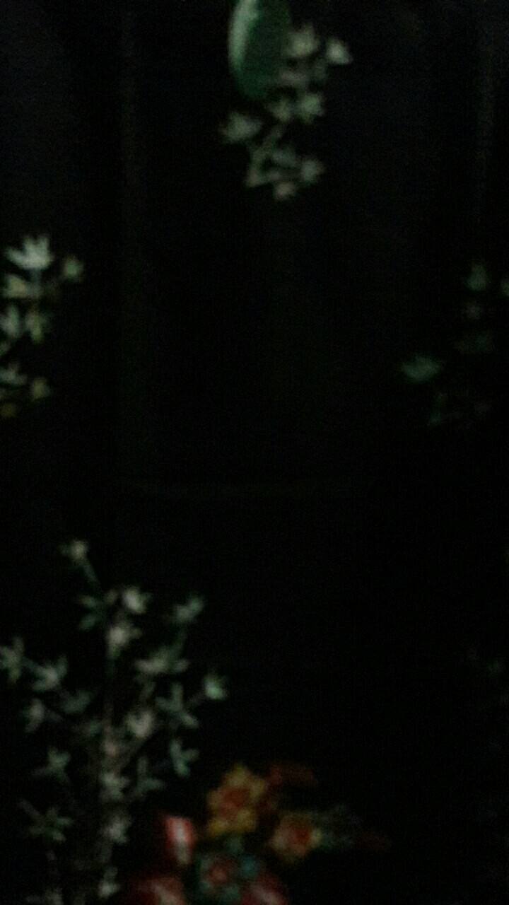 Maura Couple - Sania Ruffle Batik Couple Ori Ndoro Jowi Dnt Garansi Termurah Shopee