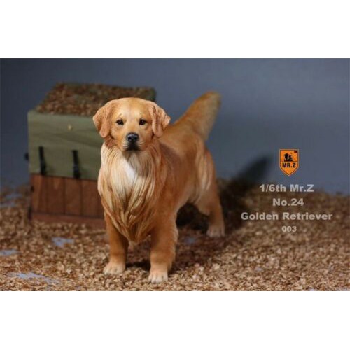 golden retriever kid friendly