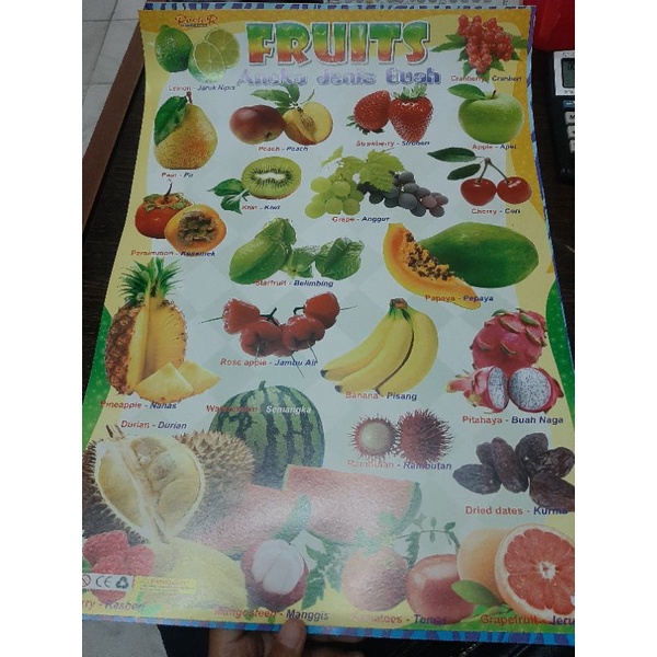 Poster edukasi anak Belajar bahasa inggris Buah/fruits