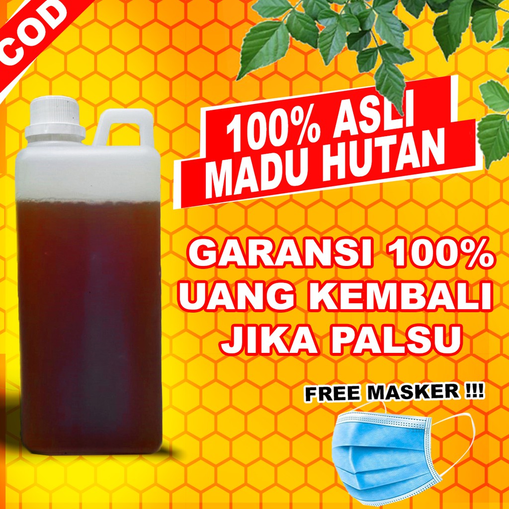 

Madu Odeng Asli Hutan - Madu Manis Murni 100% ASLI