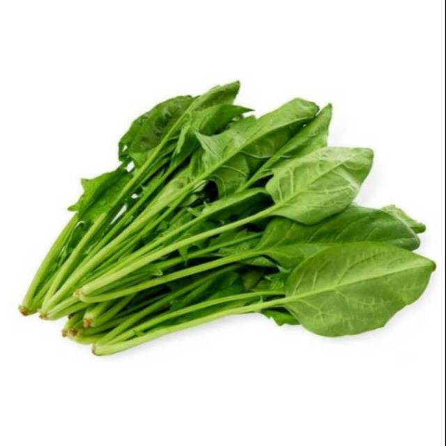 

HORENSO / BAYAM JEPANG ORGANIK BSP FARM 200GR