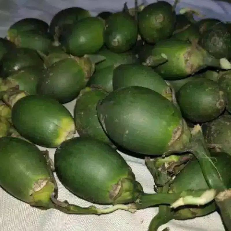 

Buah Pinang Muda/Jambe Muda Fress 500G