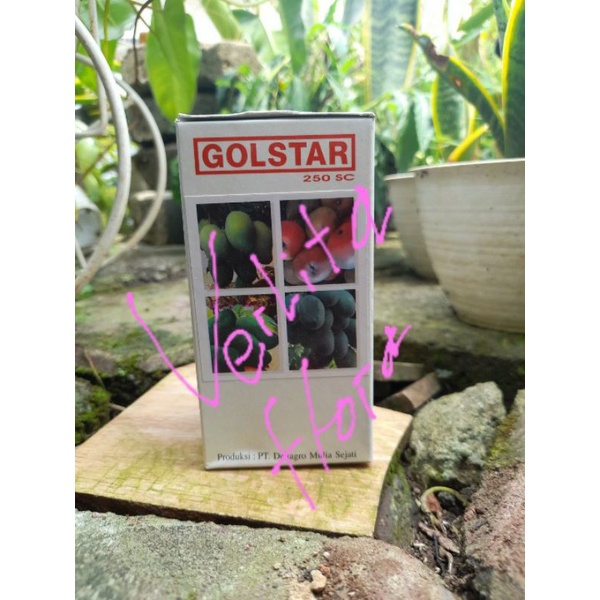 Pupuk mempercepat buah Golstar 30ml